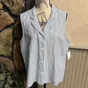 Blue and White Sleeveless Button Down Shirt